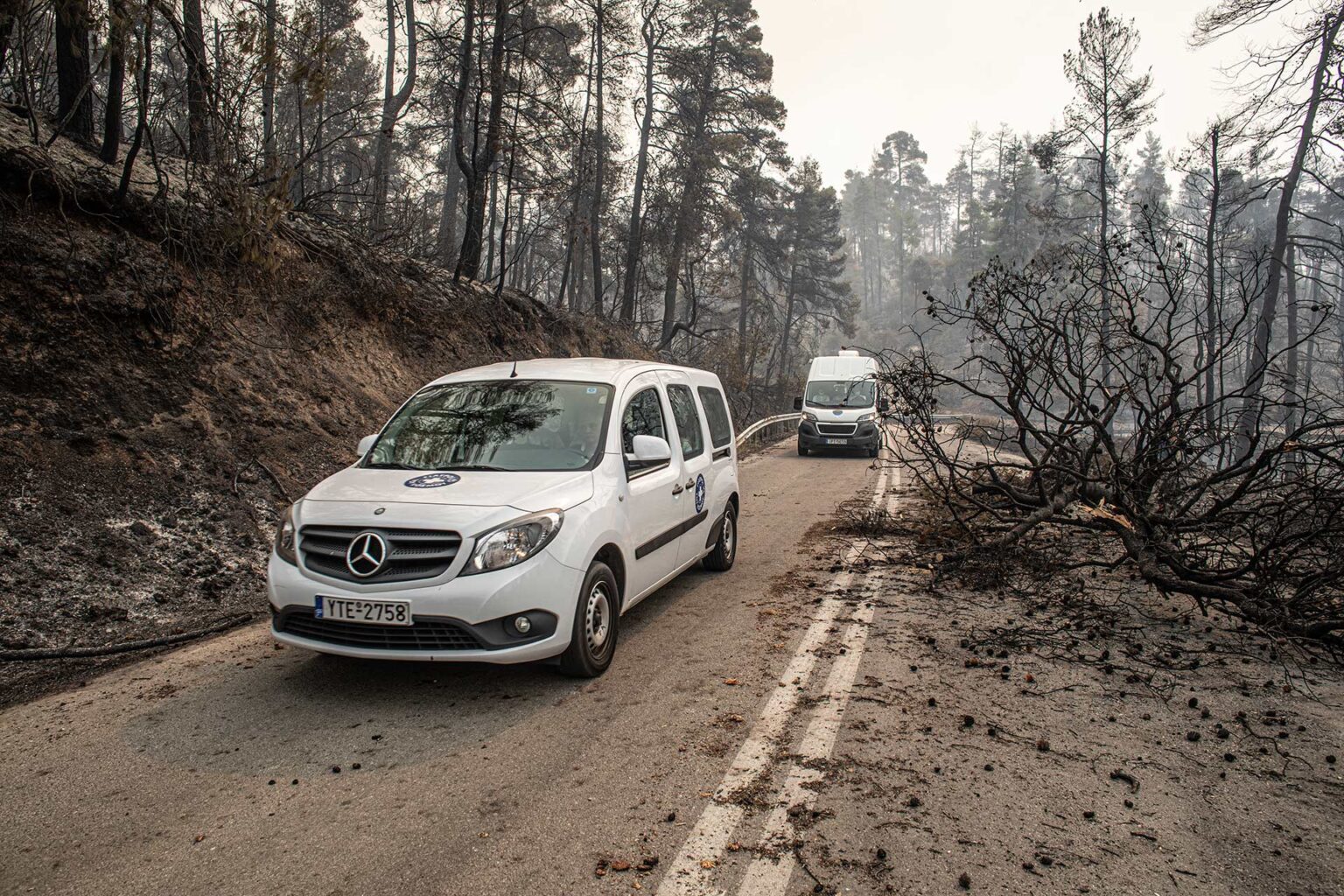 MdM-GR-Evoia-Wildfires-5690